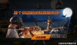 新皮肤爆料最新吃鸡,新皮肤亮相！吃鸡游戏迎来全新视觉盛宴